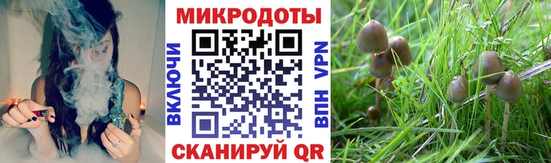 Псилоцибиновые грибы мицелий  Купить  Ворсма 